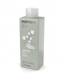 GREEN DAILY SHAMPOO (250ml) - Šampūnas (98 proc. natūrali sudėtis) visų tipų plaukams